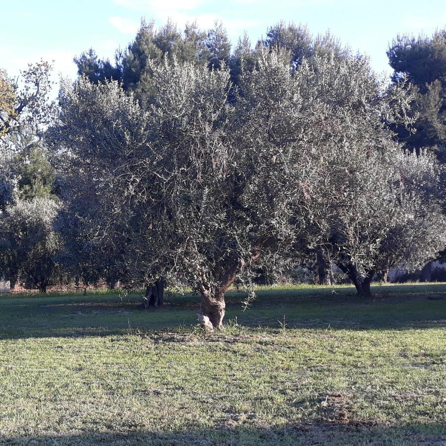 La Collina Sul Mare Bed & Breakfast Marina Palmense Bagian luar foto