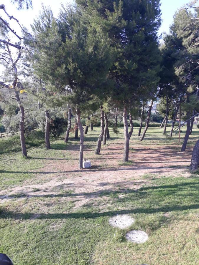La Collina Sul Mare Bed & Breakfast Marina Palmense Bagian luar foto