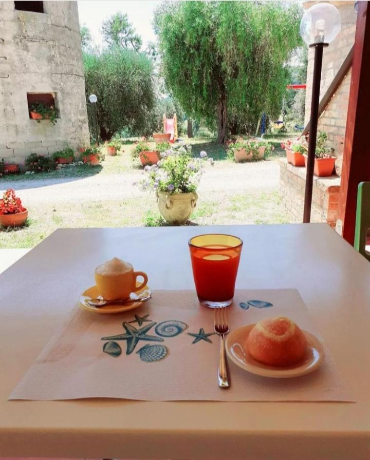 La Collina Sul Mare Bed & Breakfast Marina Palmense Bagian luar foto